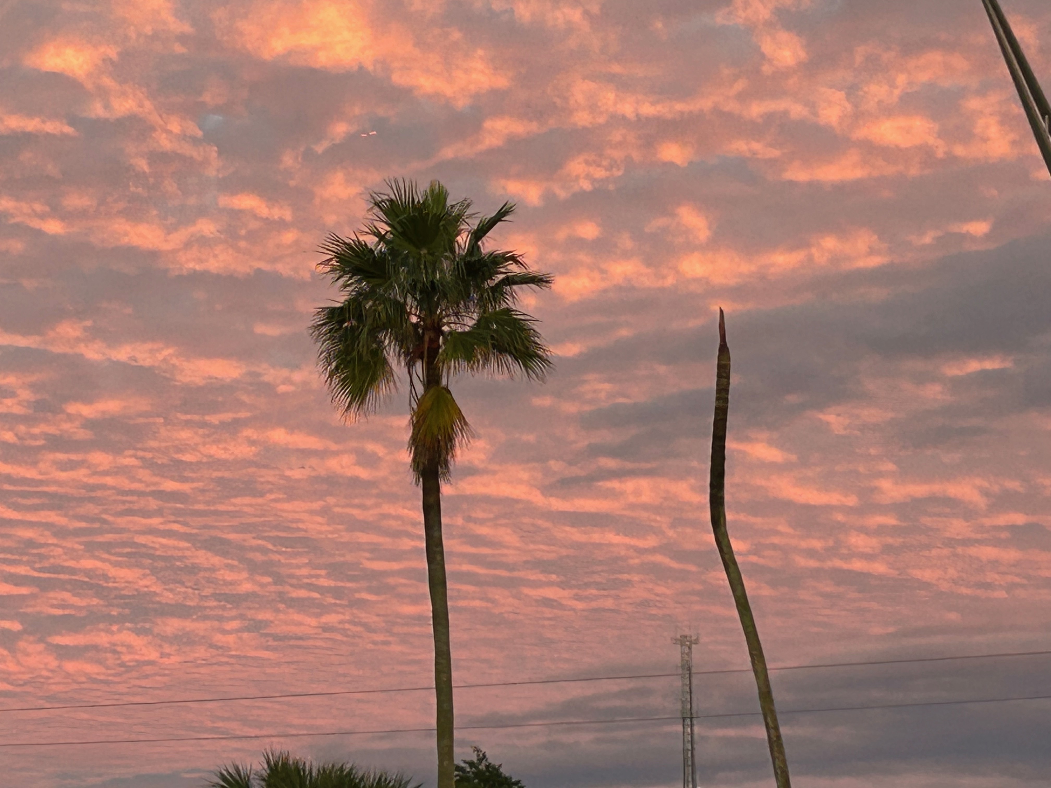 Fort Lauderdale, Florida